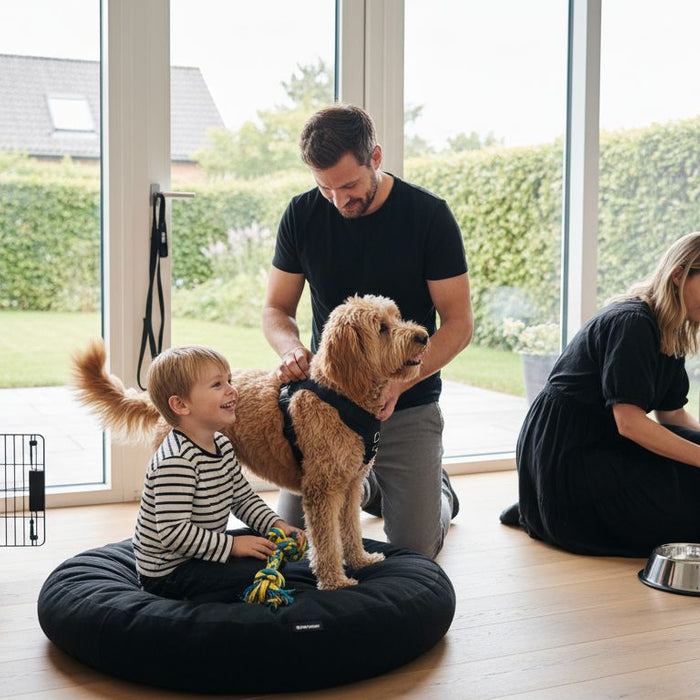 hundeudstyr familie hjem