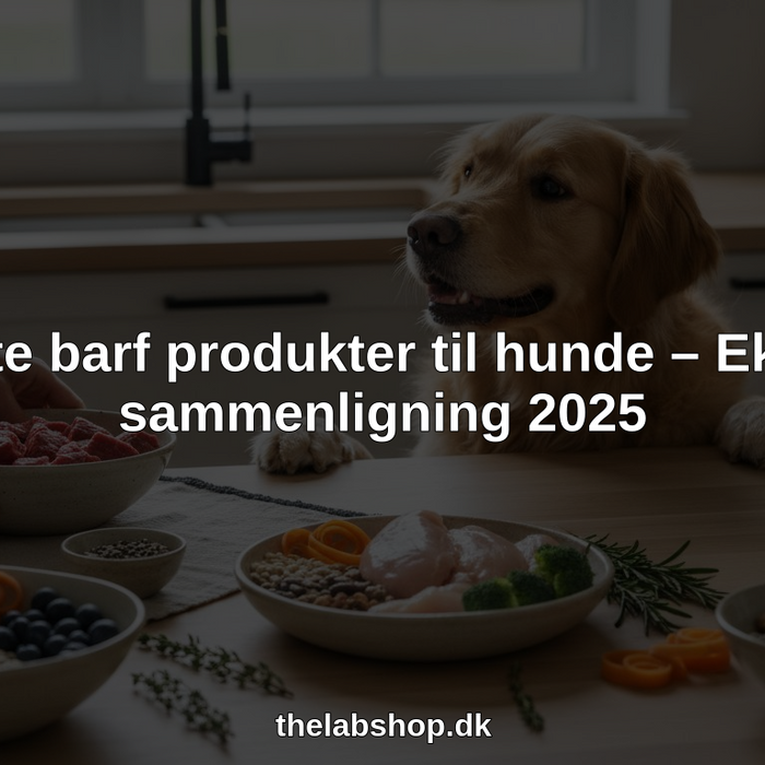 bedste barf produkter til hunde hero header image