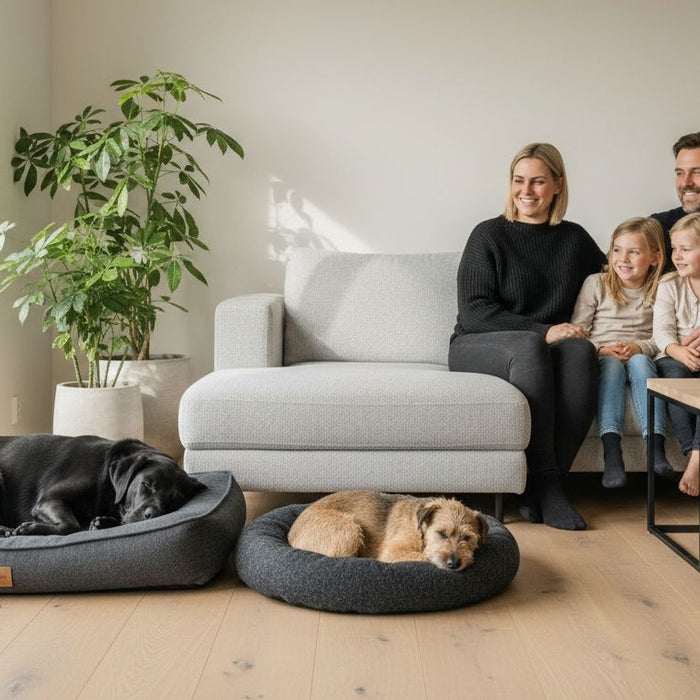 hundeseng familie hjem