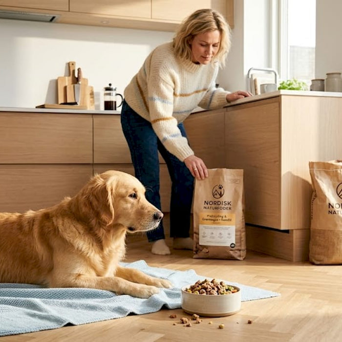 En golden retriever står i det lyse køkken og holder øje med sin foderbold.