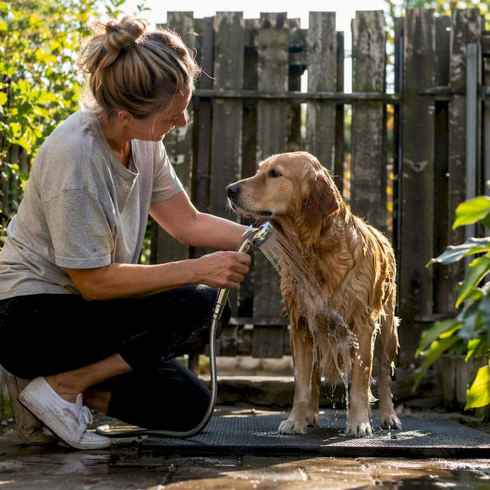En kvinde giver sin golden retriever et bad hjemme på badeværelset.