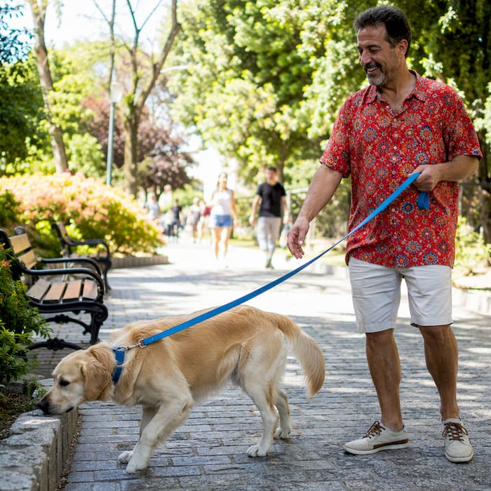 En mand lufter sin golden retriever i parken.