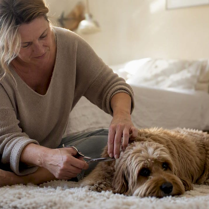 En person sidder indenfor og klipper pelsen på sin hund