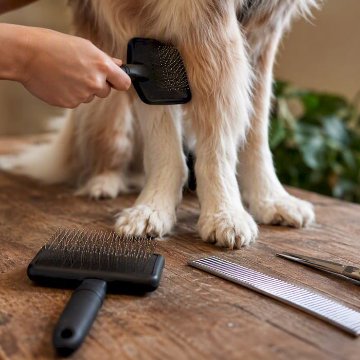 Et par hænder plejer en hunds pels på et bord.