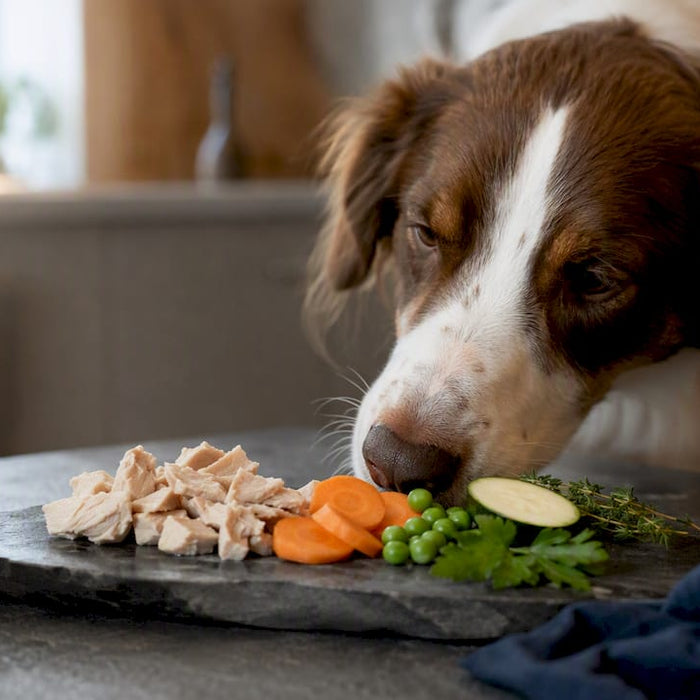 Hund tjekker synligt rene råvarer