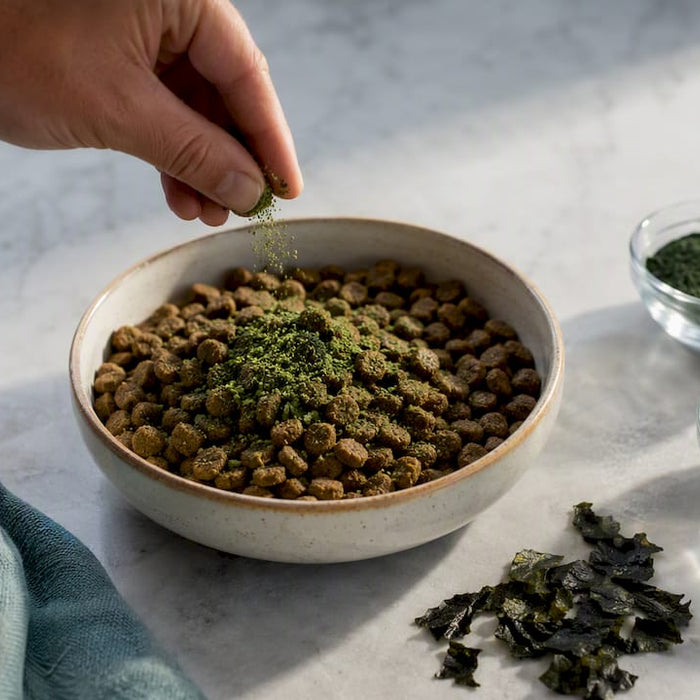 Spirulinapulver drysses over hundemad