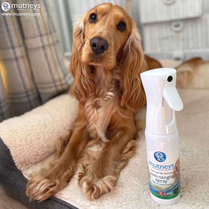 Førstehjælp til Hund med filtret pels