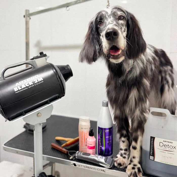 Gearing Up: 20 Must-Have Grooming Tools for Groomers