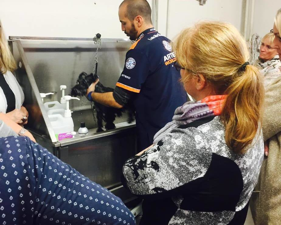 Opdag Professionelle Hundebadekar Til Komfortabel Badetid, perfekt til Badekar til hund