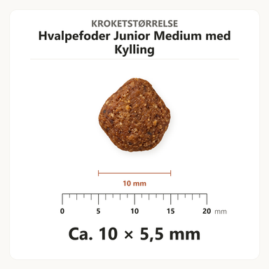 Kroketstørrelse for Dr. Clauder's Hvalpefoder Junior Medium med Kylling: ca. 10 × 5,5 mm vist ved en mm-lineal.