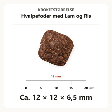 Kroketstørrelse for Dr. Clauder's Hvalpefoder med Lam og Ris: ca. 12 × 12 × 6,5 mm vist ved en mm-lineal.