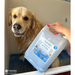 Mutneys Berry Blue Hundeshampoo velegnet til hvide og plettede hunde