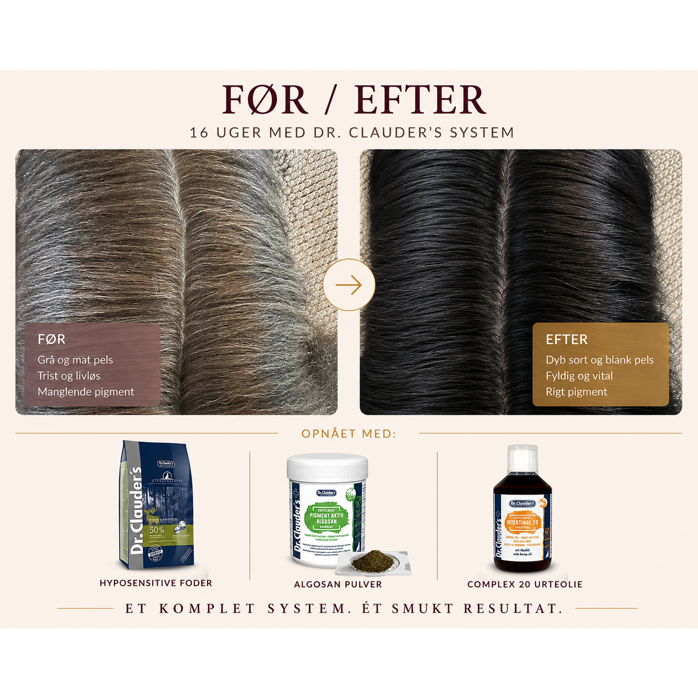 Hypoallergent Hundefoder med Hjort | Kornfri & Sensitiv | Dr. Clauder's