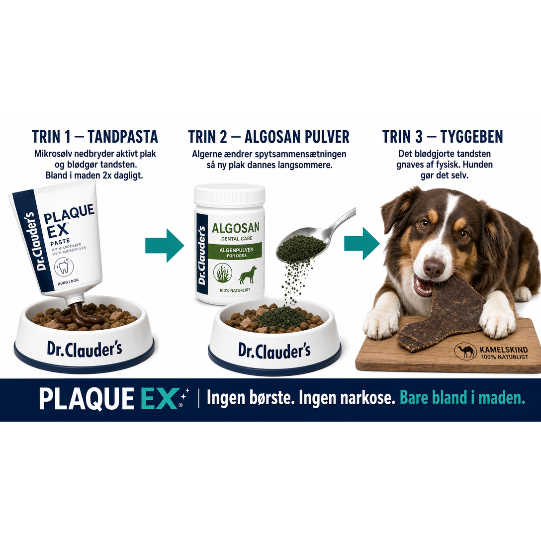 Plaque Ex Komplet Tandplejepakke – tandpasta, Algosan Pulver og tyggeben