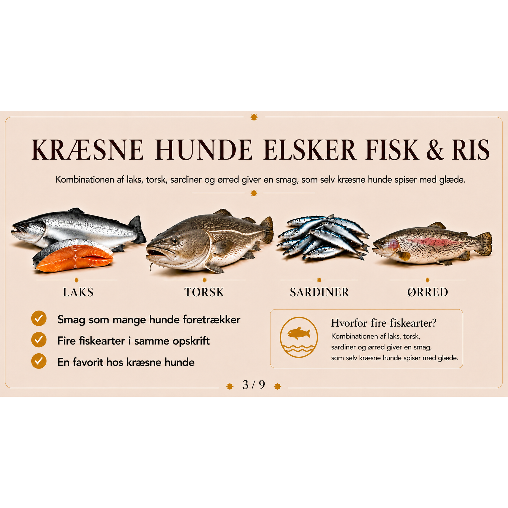 Hundefoder med Fisk og Ris | Glutenfri Tørfoder fra Dr.Clauder's