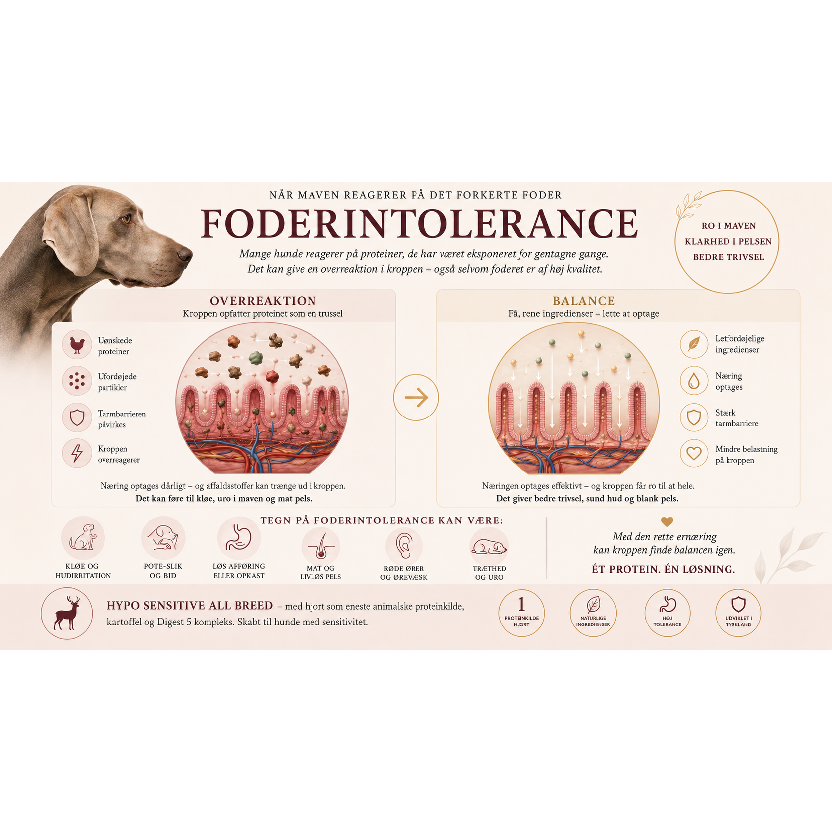 Hypoallergent Hundefoder med Hjort | Kornfri & Sensitiv | Dr. Clauder's