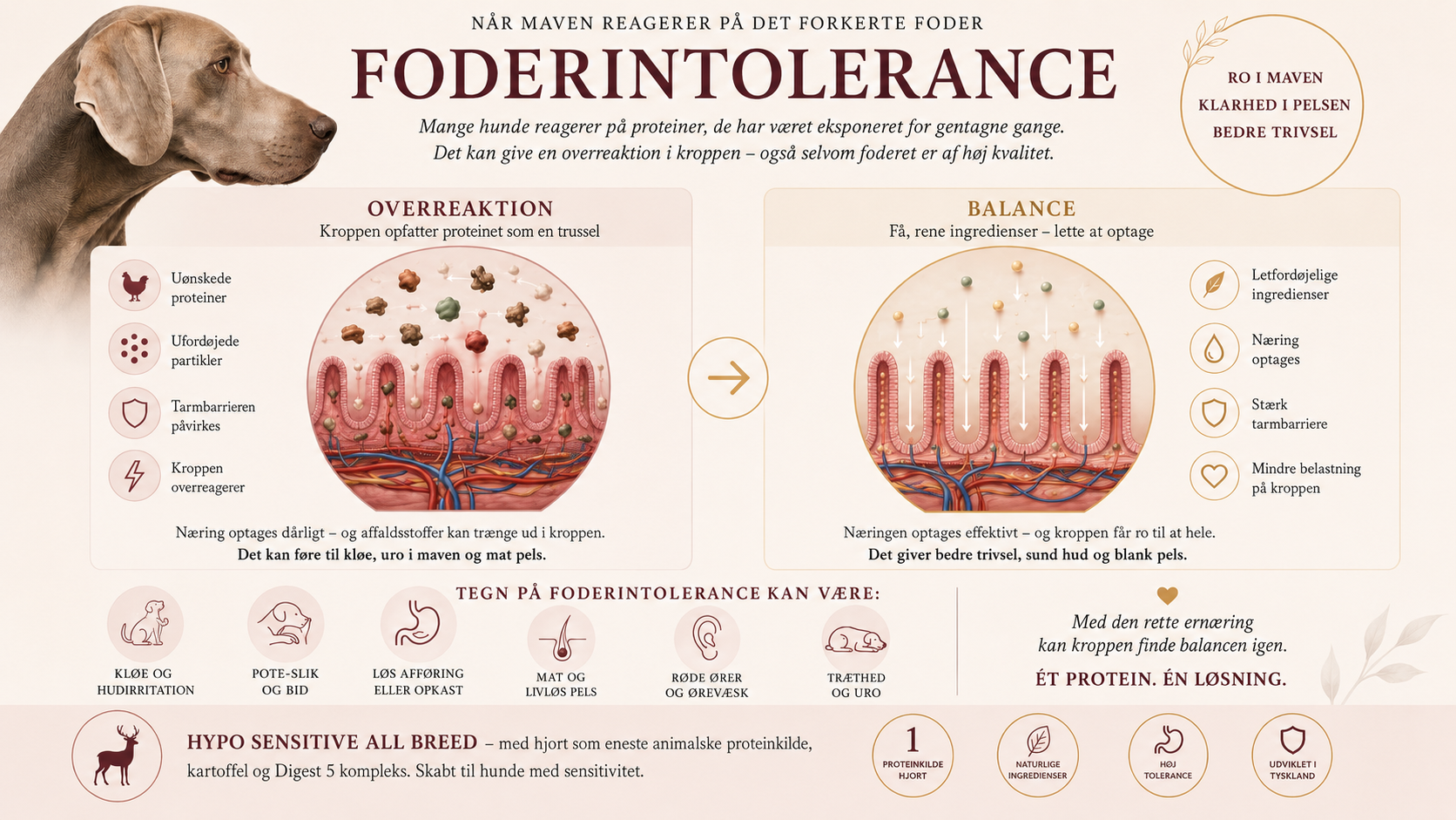 Hypoallergent Hundefoder med Hjort | Kornfri & Sensitiv | Dr. Clauder's