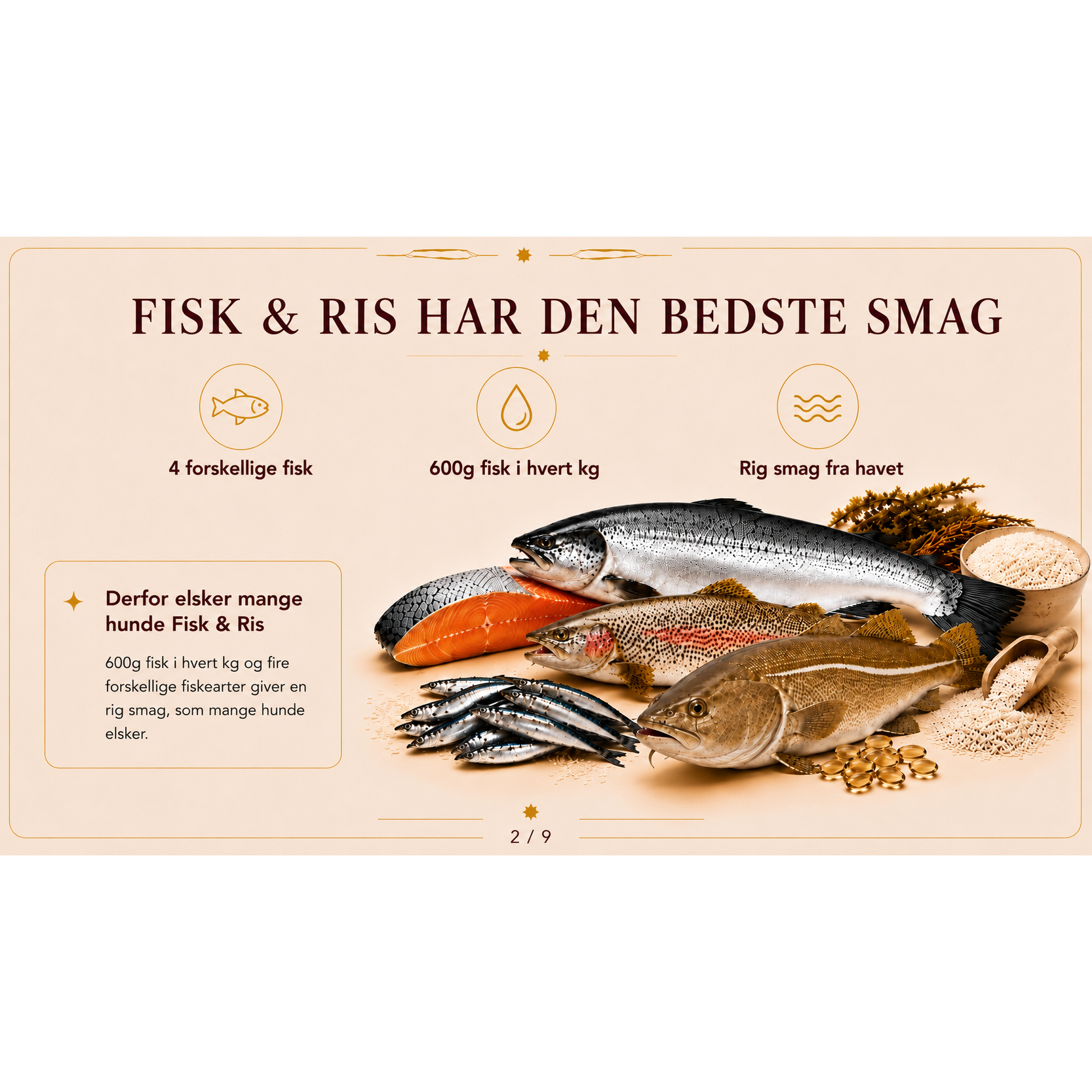 Hundefoder med Fisk og Ris | Glutenfri Tørfoder fra Dr.Clauder's