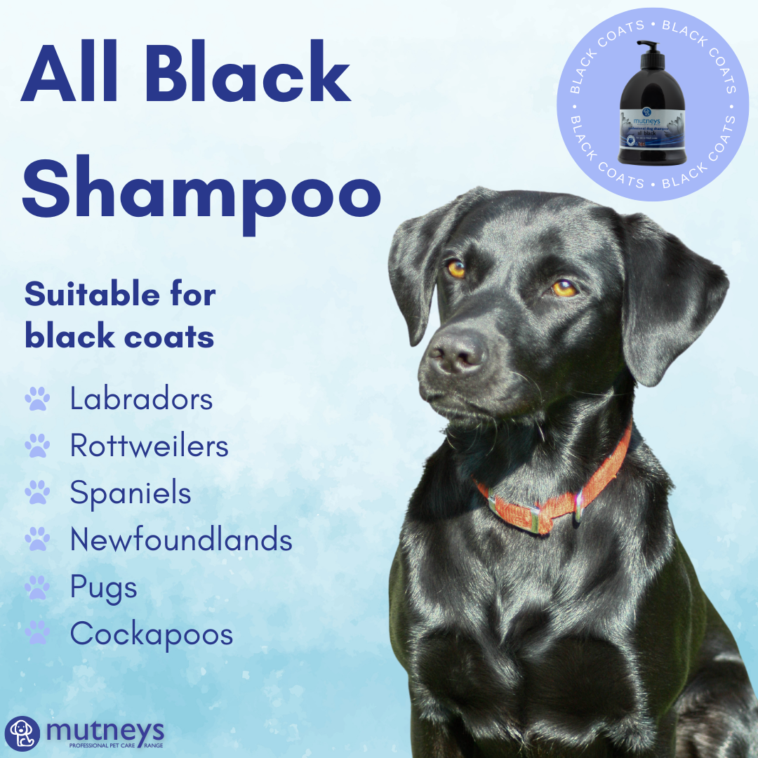 Mutneys All Black Hundeshampoo særdeles velegnet til sorte, blå og sølv hunde