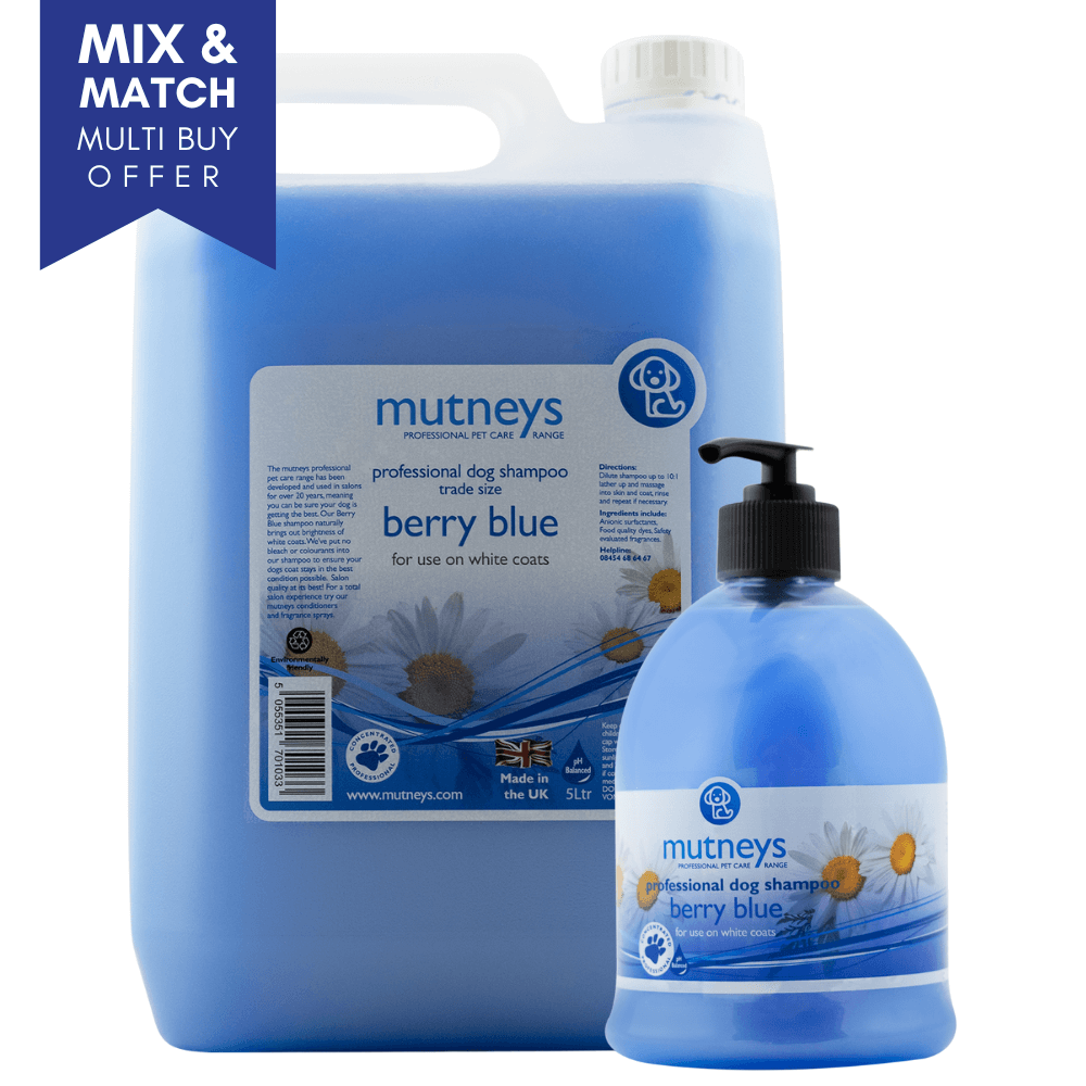 Mutneys Berry Blue Hundeshampoo velegnet til hvide og plettede hunde