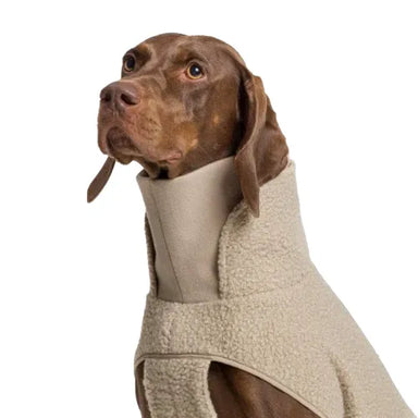 Cloud7 Dog Sweater Gotland Beige