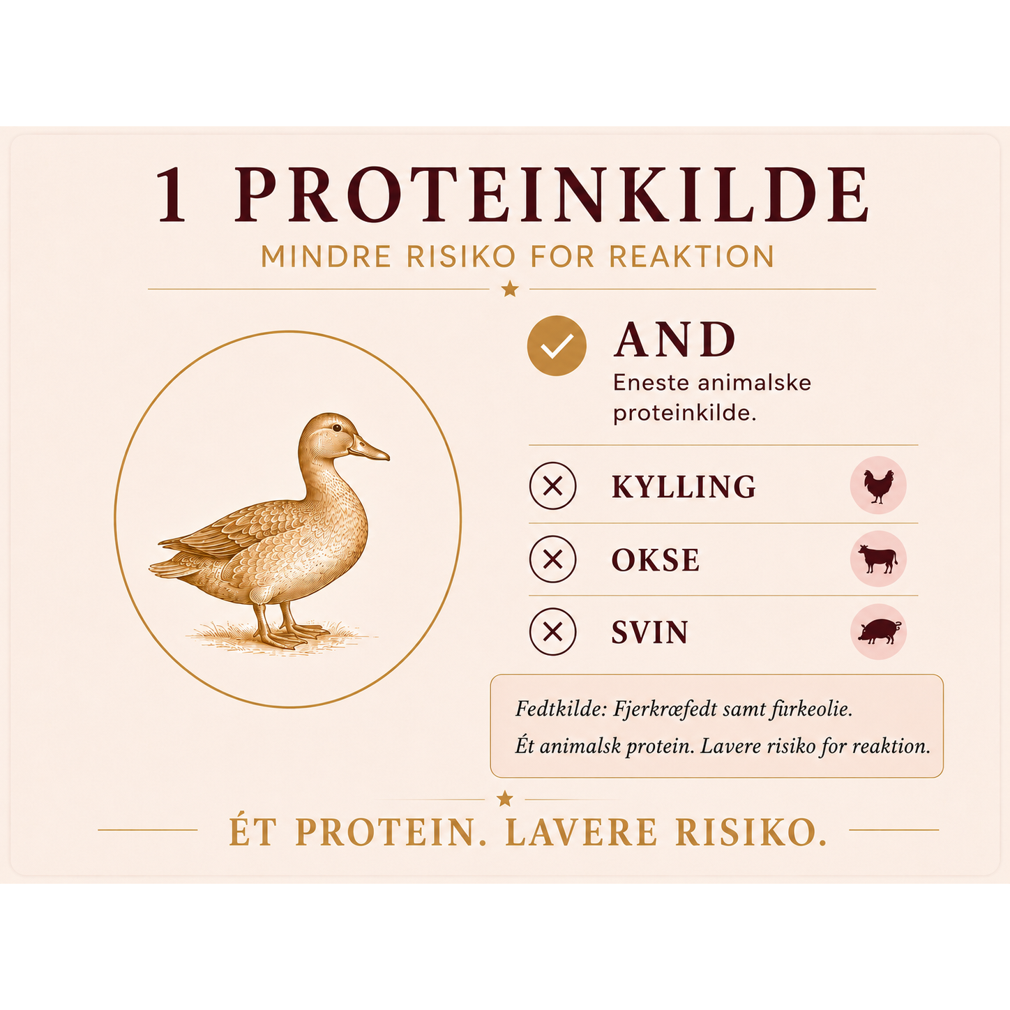 2kg Mini And & Kartofler | Kornfrit Hypoallergenic