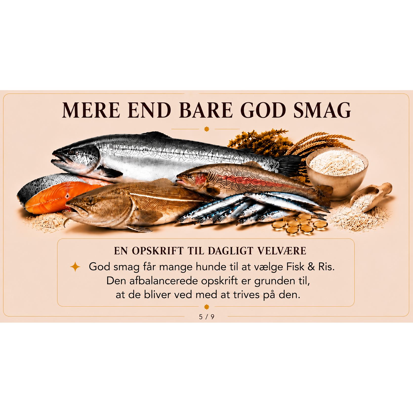 Hundefoder med Fisk og Ris | Glutenfri Tørfoder fra Dr.Clauder's