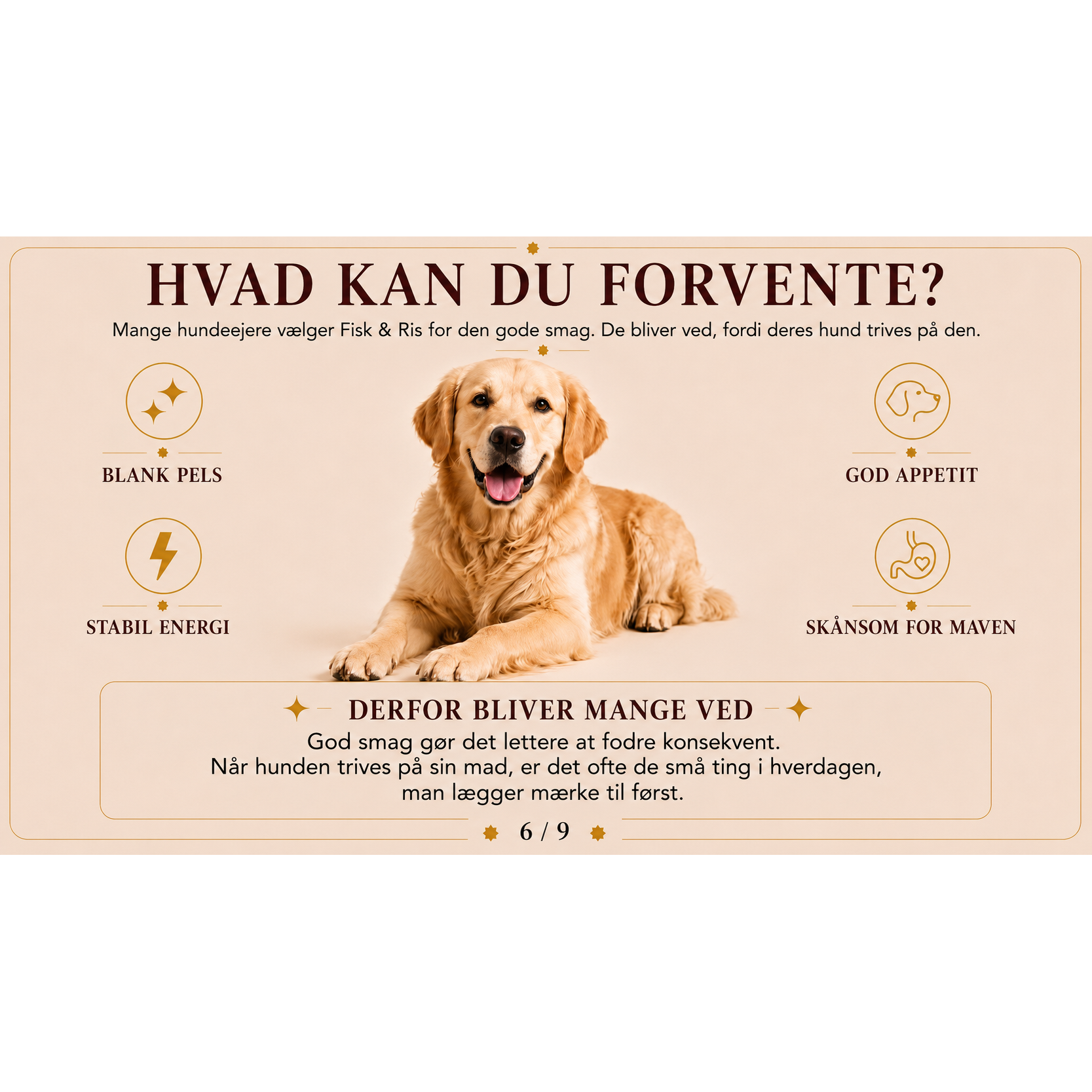 Hundefoder med Fisk og Ris | Glutenfri Tørfoder fra Dr.Clauder's