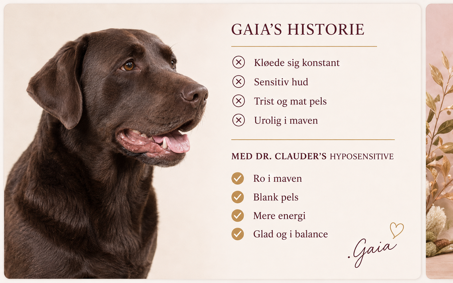Hypoallergent Hundefoder med Hjort | Kornfri & Sensitiv | Dr. Clauder's
