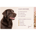 Hypoallergent Hundefoder med Hjort | Kornfri & Sensitiv | Dr. Clauder's