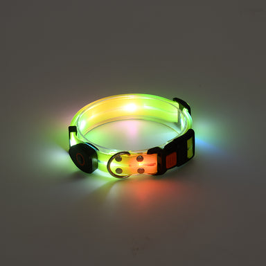 LED Hundehalsbånd med Lys | Gul | Genopladelig