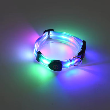 LED Hundehalsbånd med Lys | Blå | Genopladelig