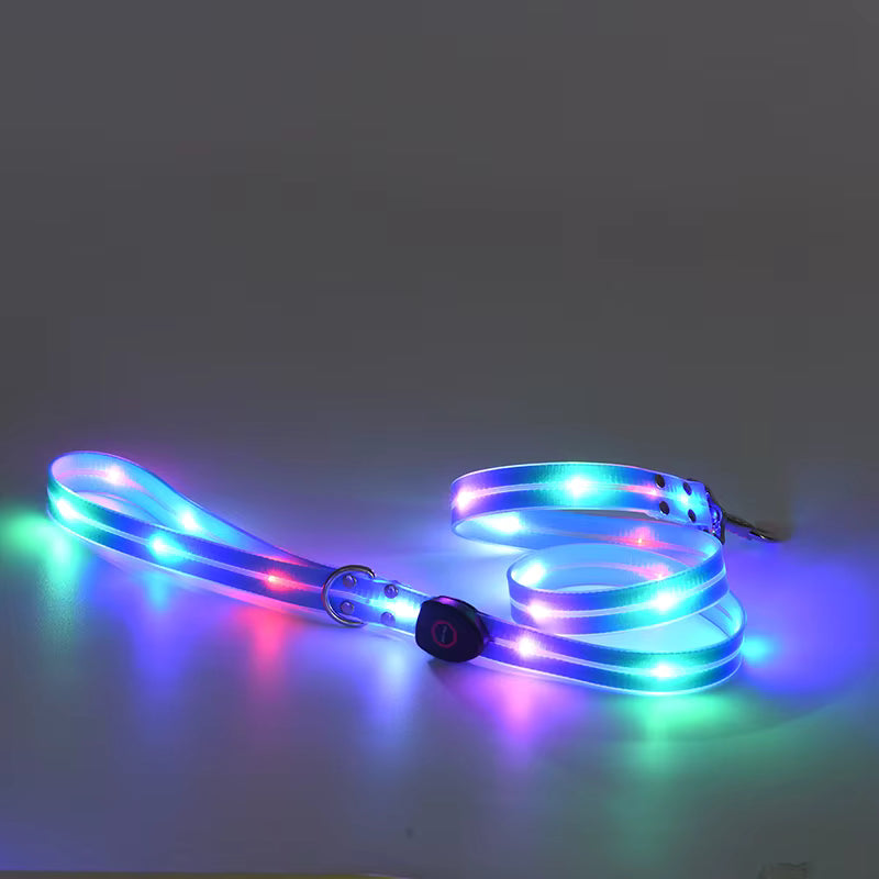LED Hundesnor med Lys | Blå | Genopladelig