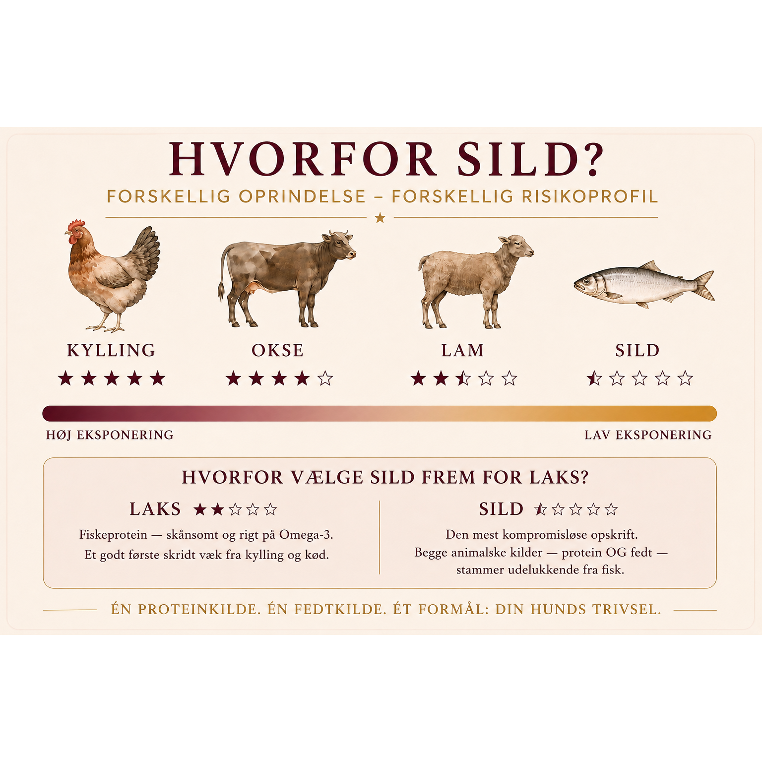 11,5kg Sild & Kartofler | Kornfrit Hypoallergenic Hundefoder | Dr.Clauder's Tørfoder
