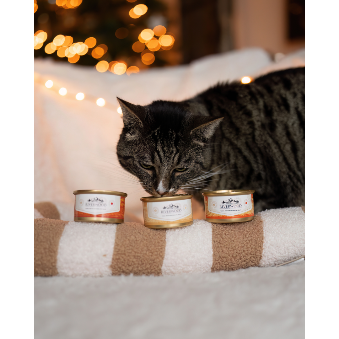 Riverwood. Tun med mango 85 gram til kat