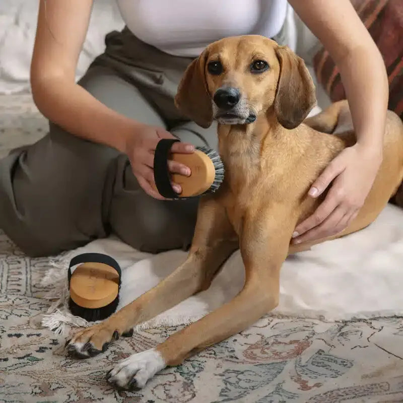 Korthårsbørste | Lila Loves It