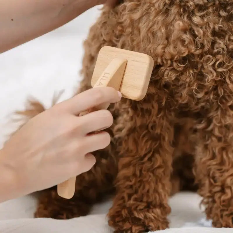 Karte str Medium | Lila Loves It