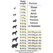 Kornfrit Large Breed + Glucosamin | And & Kalkun med Fasan