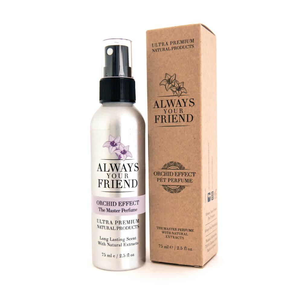 Always Your Friend Orchid Effect Perfume 75ml Always Your Friend